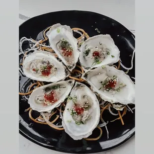 a plate of raw oysters with noodles