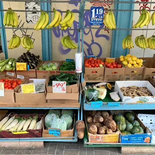 Daikon, whole wintermelon, taro and kabocha on the bottom