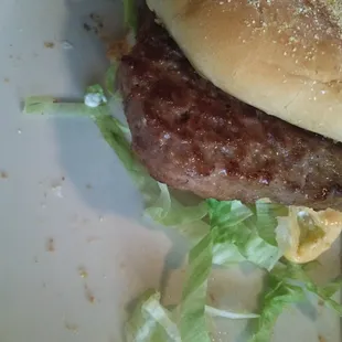 Delicious burger!