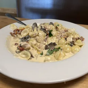 Special Orecchiette with chicken