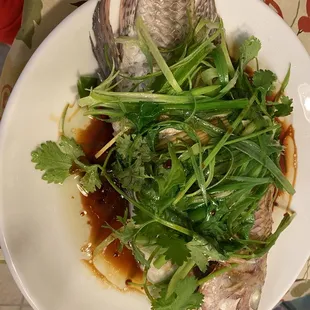 Fresh whole fish.