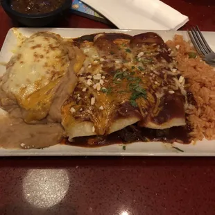Shredded Beef Enchilada