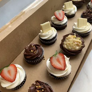 Assorted Chocolate Cupcakes (Baker's Choice)