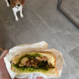 Sad looking lunch chicken sandwich