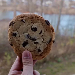 Chocolate Chip Cookie