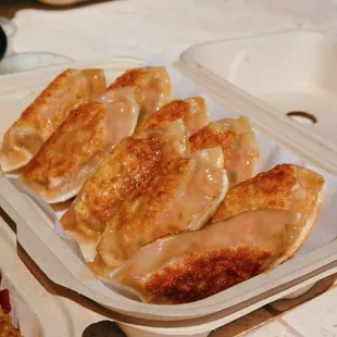 Kimchee Mandoo