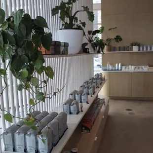 a shelf of coffee pods and a potted plant