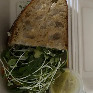 Veggie sandwich and salad