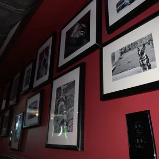 a wall full of framed photographs