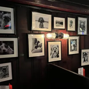 Pictures of dogs on the wall.