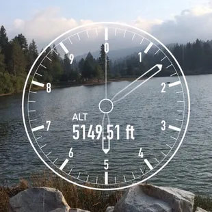 Above it all. #gooddogwalkingservice