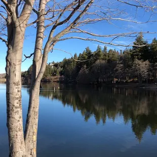 A nice chilly walk around Lake Gregory