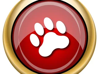 Las Cruces Pet Services