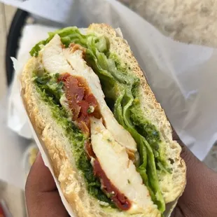 Chicken Pesto Basil Sandwich Special