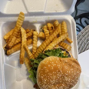 Steakburger and fries