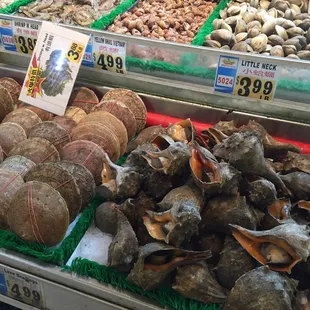 Fresh seafood