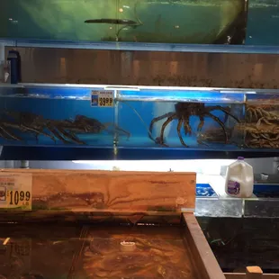 Crab!!!!
