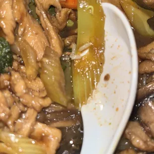 See the maggot at the top of the celery piece. The white specs in the middle are rice.