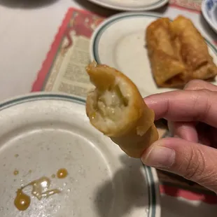 The spring roll - vegetable seeming filling in a vague white garlic sauce