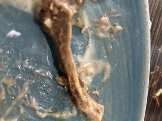 Peking Chinese Restaurant