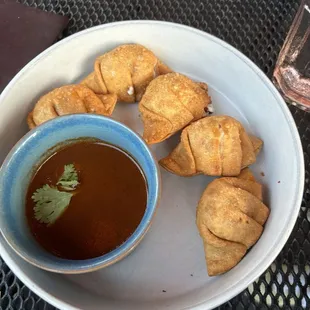 Birria Dumplings