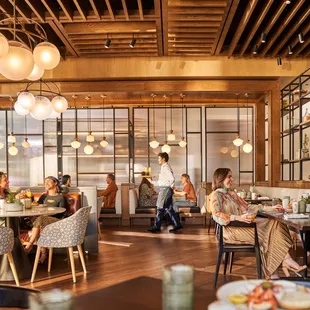 ramen and noodles, interior