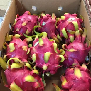 Dragon Fruit