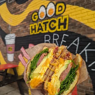 a person holding up a sandwich