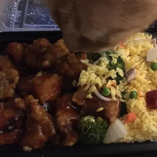 Kitty approved Gen Tso's