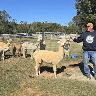 Mike (the owner) giving us the run down!