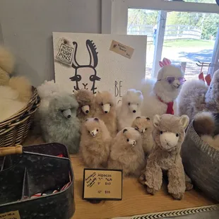 Items on the gift shop