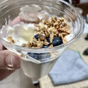 Yogurt w/honey, blueberries, granola