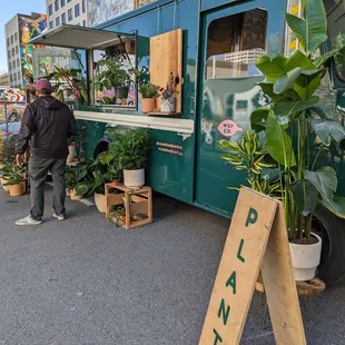 'flea' vendor market - woodshed plant co