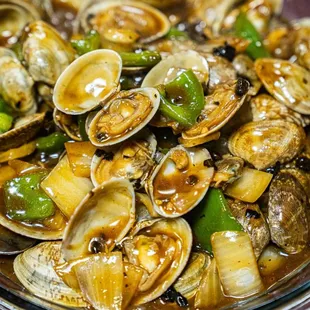 shellfish, oysters and mussels, oysters, mussels, food