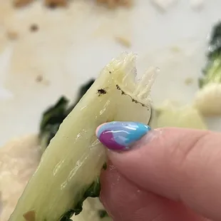 a hand holding a piece of broccoli