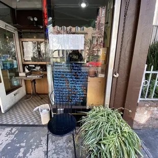 a chair and a plant