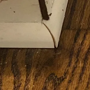  close up of a wood floor