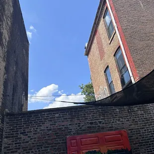 Blue skies in the backyard