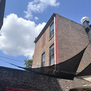 A beautiful day in the backyard