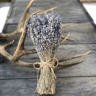 Rustic antlers