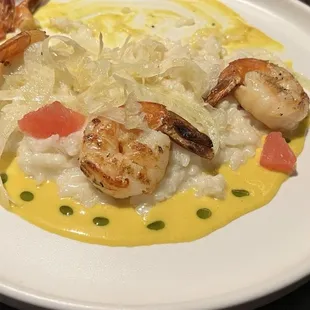 Shrimp Risotto