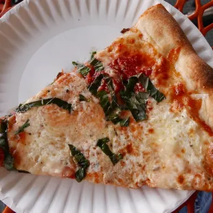 Cheese pizza by the slice, Brooklyn round