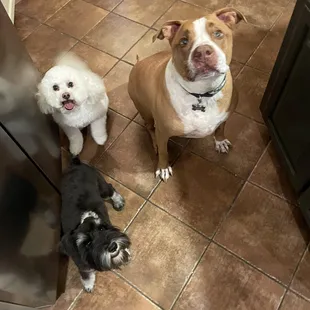 Your happy clients :)