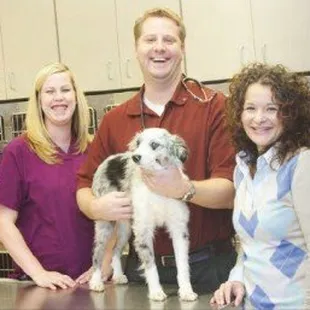 Testimonial: Dr. Long has been our vet for many years (at his previous clinic), and has always impressed us with his incredib...