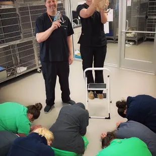 There's a veterinary #lionkingchallenge going around... so of course we had to join in with the perfect baby Simba and our own Zazu!
