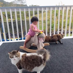 My best friends love Hawaii!