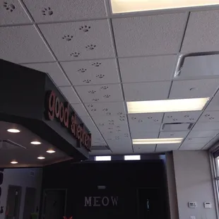 Cute details on the ceiling.