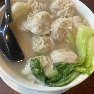 Wonton Noodle Soup