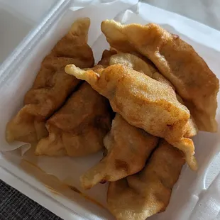 Fried potstickers (8 dollars)