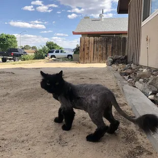 "Boots with the furrr. The whole club looking at her."